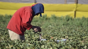 México: 2 millones de personas se encuentran en semiesclavitud