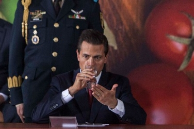 Enrique Peña Nieto, titular del Ejecutivo.