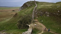 Especialistas examinan la escena de los hechos en el parque de Northumberland, tras la tala de un arce blanco de 300 años, conocido como el &quot;árbol de Robin Hood&quot;.