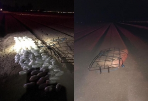 Agentes de CBP encontraron 151 libras de metanfetamina.