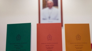 Amoris Laetitia la exhortación apostólica que rechaza el matrimonio homosexual