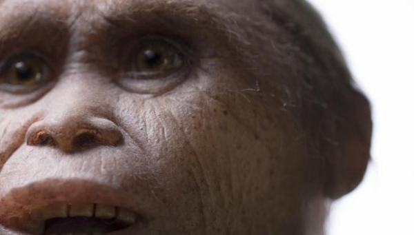 Reconstrucción del Homo floresiensis 