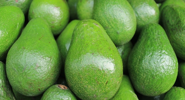 Científicos descubren beneficios inesperados del aguacate