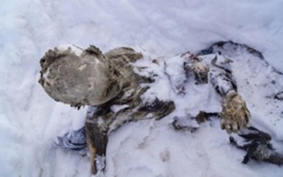 Cuerpo del segundo alpinista momificado.