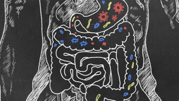 La flora intestinal puede influir en la gravedad y la respuesta ante la covid-19