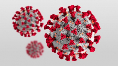 Un estudio confirma que el Covid-19 es una enfermedad vascular