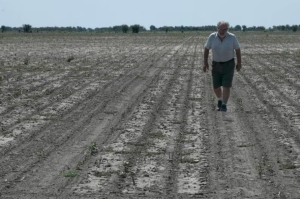 Se disparan municipios con sequía severa en Jalisco: la padecen 94