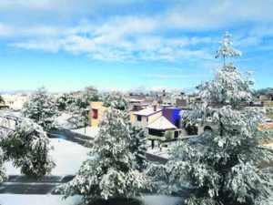 Arandas fue uno de los municipios donde cayó mayor cantidad de nieve.