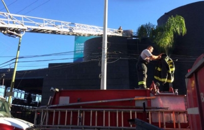 El reporte del incendio se recibió a las 08:14 horas y fue atendido por 30 bomberos de cuatro corporaciones.