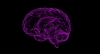 Conoce un simple remedio contra el envejecimiento cerebral