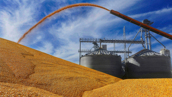 Agricultores estadounidenses en Illinois, Virginia, al 23 de septiembre de 2015.