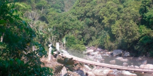 El puente colgante de Santiago Quetzalapa