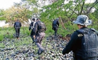 Durante un operativo elementos de la Fiscalía de Jalisco desmantelaron tres campamentos de adiestramiento del Cártel de Jalisco Nueva Generación en el municipio de Tala.