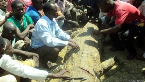El cocodrilo medía más de cuatro metros y pesaba unos 600 kilos, según el veterinario que lo examinó.