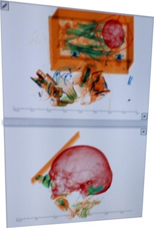 Detienen en un aeropuerto a una mujer que viajaba con los restos de su marido en la maleta