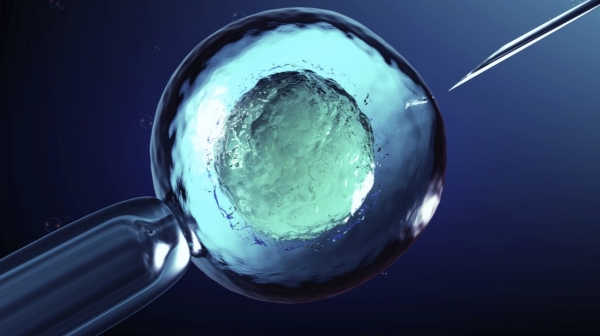 Ilustración en 3D de la inseminación artificial, o fecundación in vitro, de un óvulo.