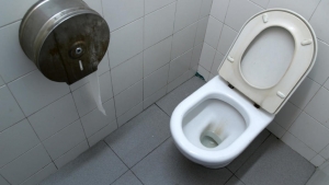 Los retretes públicos pueden dar bastante asco.