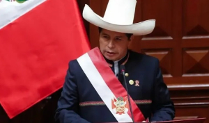 EE.UU. alentó el golpe de Estado en Perú