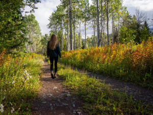 ¿Cuántas calorías se queman al caminar 10.000 pasos?