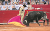 Juez suspende indefinidamente corridas de toros en la Plaza México