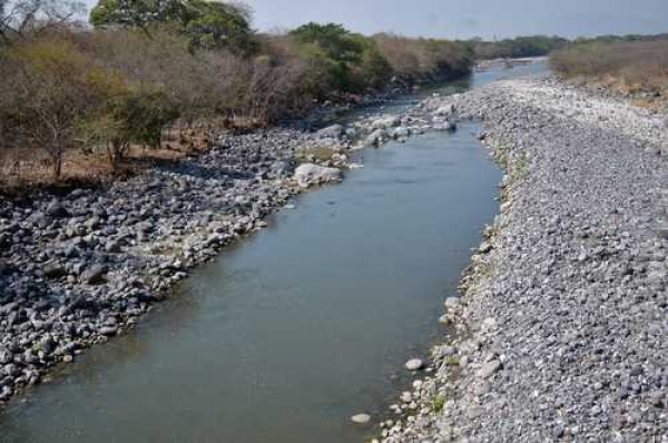 El proyecto puede afectar la biodiversidad del río Armería, por la reducción de la cantidad de agua, así como a la agricultura