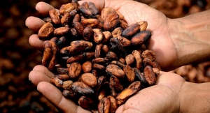 Nestlé reconoce que explota a niños de África