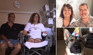 Inducen al coma a una mujer y le amputan brazos y piernas por culpa de una infección causada por la lamedura de su perro