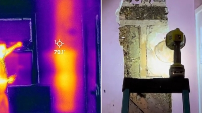 Los 'monstruos' en el dormitorio de un niño pequeño resultan ser una enorme colmena