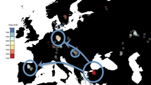 Los movimientos de población favorecieron la llegada de variantes de genes que facilitaron la supervivencia de los agricultores y ganaderos