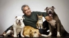 Investigan a César Millán, "el encantador de perros", por crueldad animal