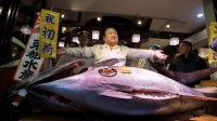 Subastan un atún rojo de 212 kilos por USD 632.000 en Tokio