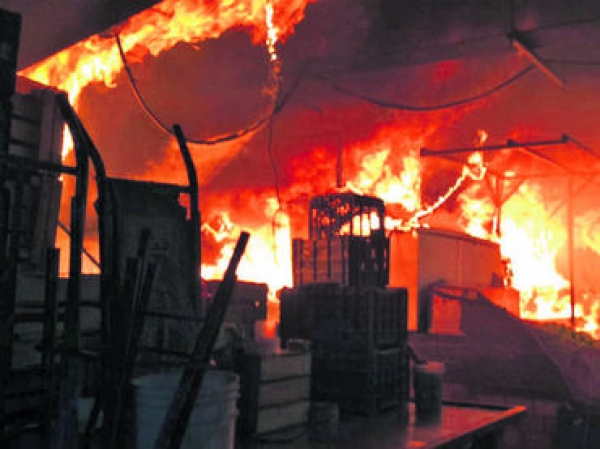 Incendio daña al menos 20 locales del mercado Alcalde