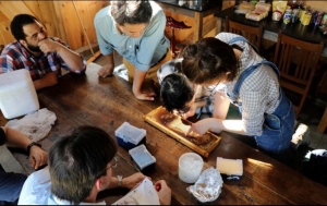 Durante los primeros estudios en laboratorio, utilizando jalea real proveniente de China, los especialistas analizaron la estructura oligomérica (molecular) de la principal proteína de jalea: la MRJP-1.