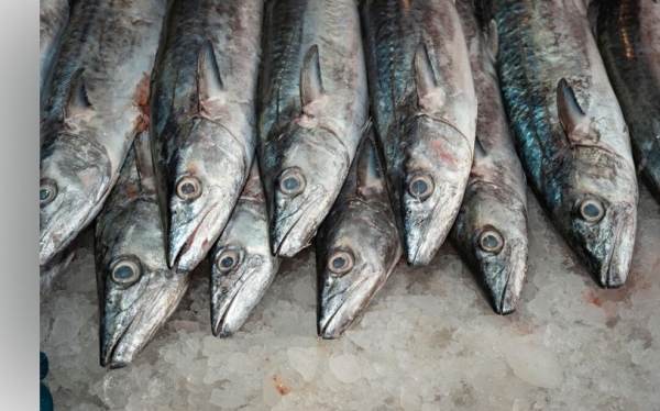 En México casi la mitad del pescado que se compra es falso y el gran problema es que no sabes qué estás comiendo