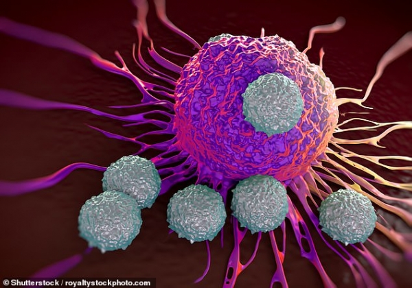 &quot;Un significativo paso adelante&quot; contra el cáncer: Descubren una molécula capaz de destruir las células cancerígenas e impedir su recurrencia