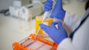 Un paso hacia la juventud eterna: desarrollan una vacuna contra las 'células zombi' que estimulan el envejecimiento