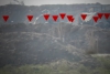 Emboscada de la Resistencia en Beit Hanun: 19 soldados israelíes muertos y heridos
