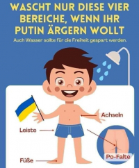 Putin tacha de "delirio" los llamamientos en Europa a "lavarse solo cuatro áreas" del cuerpo para "indignar" al presidente ruso