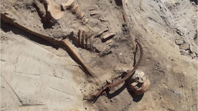 Esqueleto desenterrado cerca de la ciudad de Bydgoszcz, en Polonia, con vestigios de un rito contra vampiros