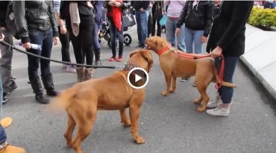 Captura de pantalla.
