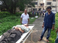 Murió aplastado por un elefante.