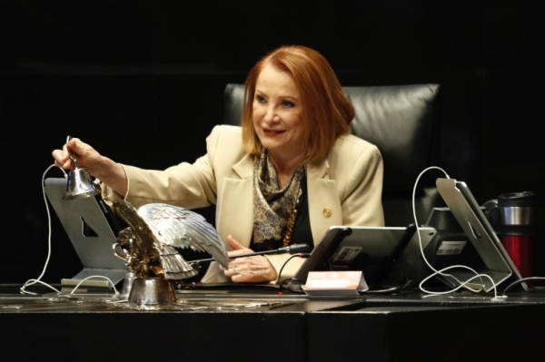 La presidenta del Senado de la República, Laura Itzel Castillo.