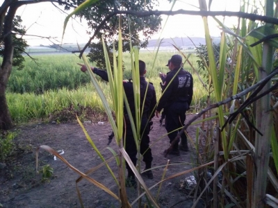Fosas comunes halladas en Nayarit