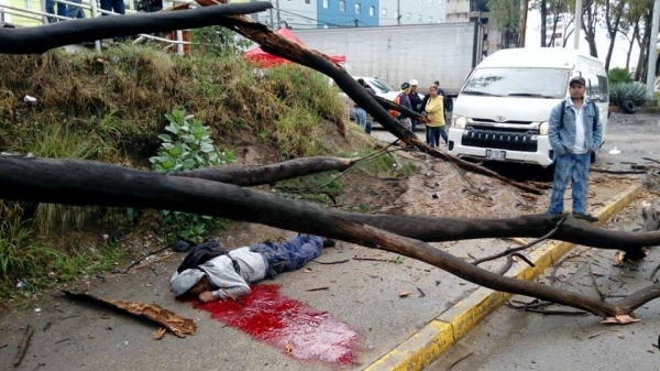 Árbol cae sobre persona en Periférico frente a Ciudad Judicial, muere