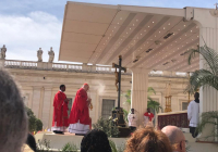 &quot;Dios mío, ¿por qué me has abandonado?&quot;: El papa celebra el Domingo de Ramos tras salir de hospital