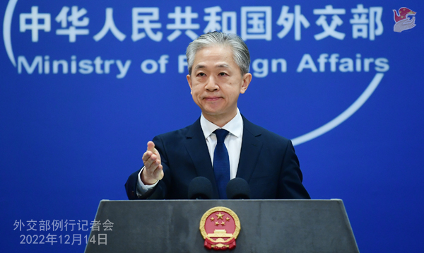 El portavoz del Ministerio de Exteriores chino, Wang Wenbin.