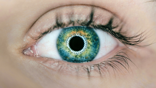 "Esto lo cambia todo": impresión en 3D devuelve la vista a un ciego