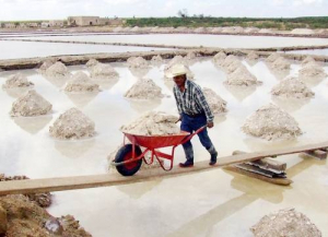 Las salinas en la zona semidesértica entre SLP y Zacatecas son susceptibles de explotación de litio.