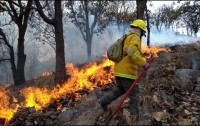 Autoridades recomiendan a la población no brindar apoyo a las corporaciones para el combate del incendio ya que podría ser peligroso, así como evitar rumores sobre el hecho