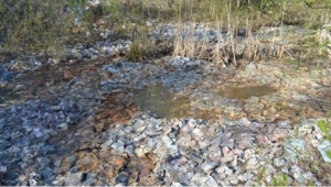 Los billetes estaban a la intemperie, algunos hundidos en charcos de agua